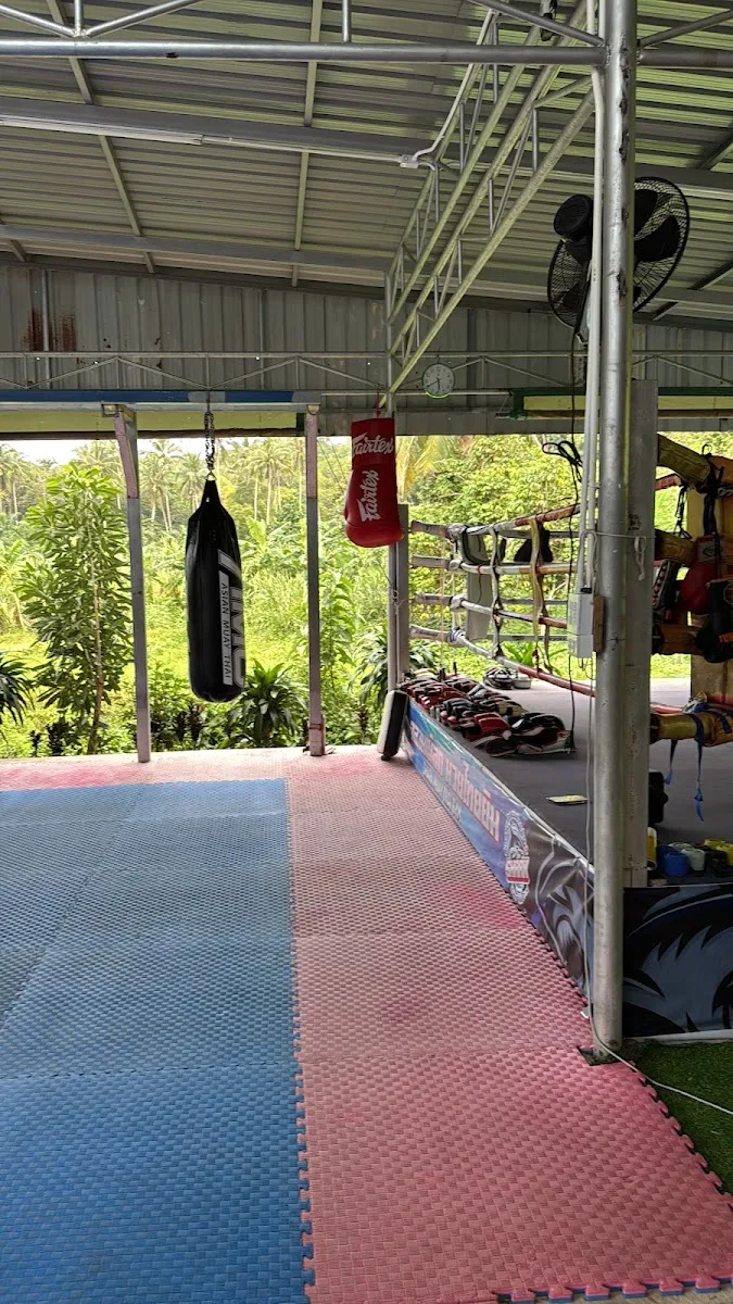 รูปที่ 3 จาก 9 ของ Shark Muay Thai Gym