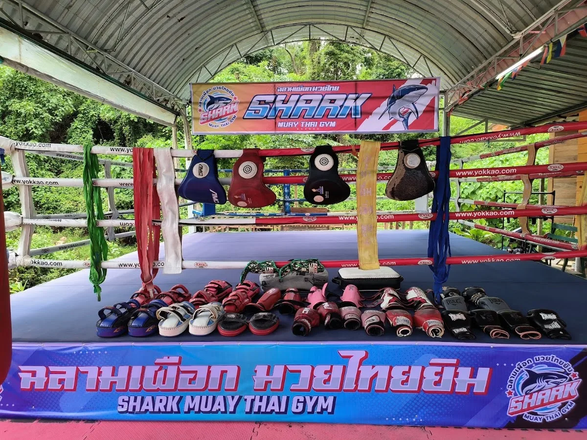 รูปที่ 4 จาก 9 ของ Shark Muay Thai Gym