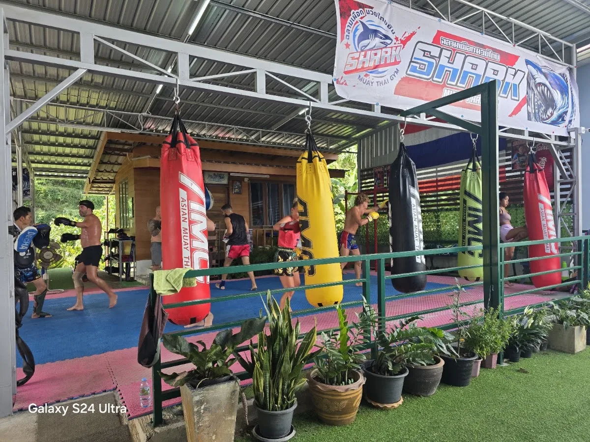 รูปที่ 8 จาก 9 ของ Shark Muay Thai Gym